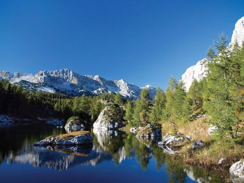 Jezero Bohinj