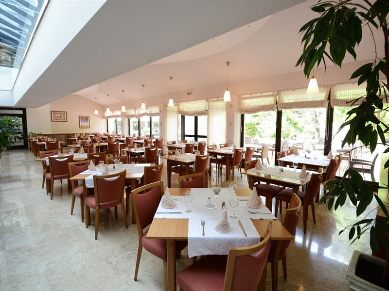 Hotel Flores