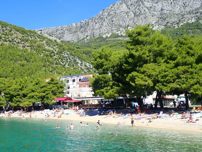 Vila Delić