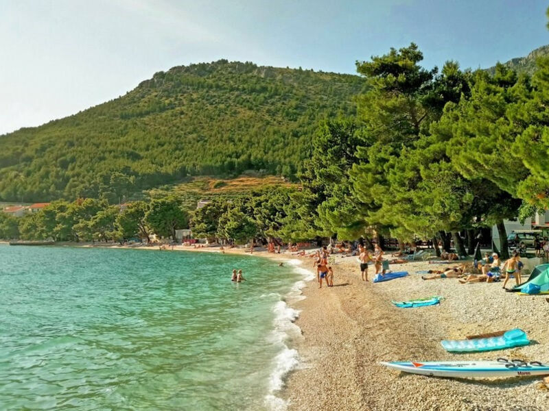 Vila Delić