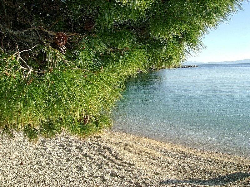Vily Dalmacija