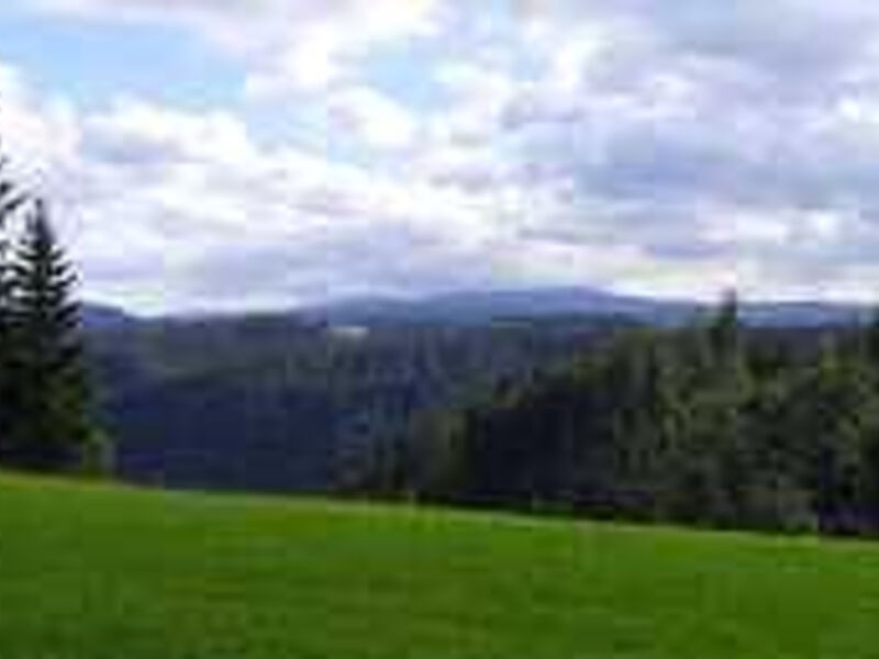 Hotel Am Kurpark