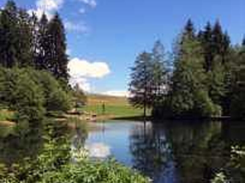 Hotel Hohenrodt S
