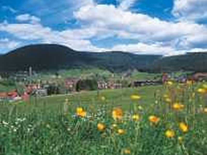 Hotel Lamm Mitteltal