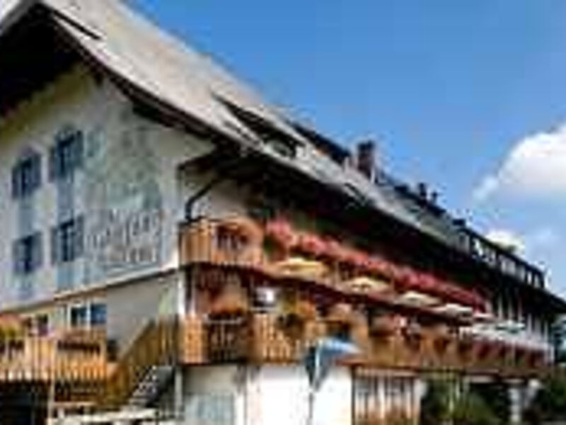 Hotel Schwarzwaldgasthof Zur Traube