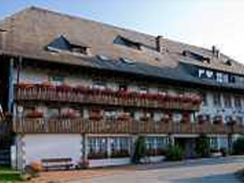 Hotel Schwarzwaldgasthof Zur Traube