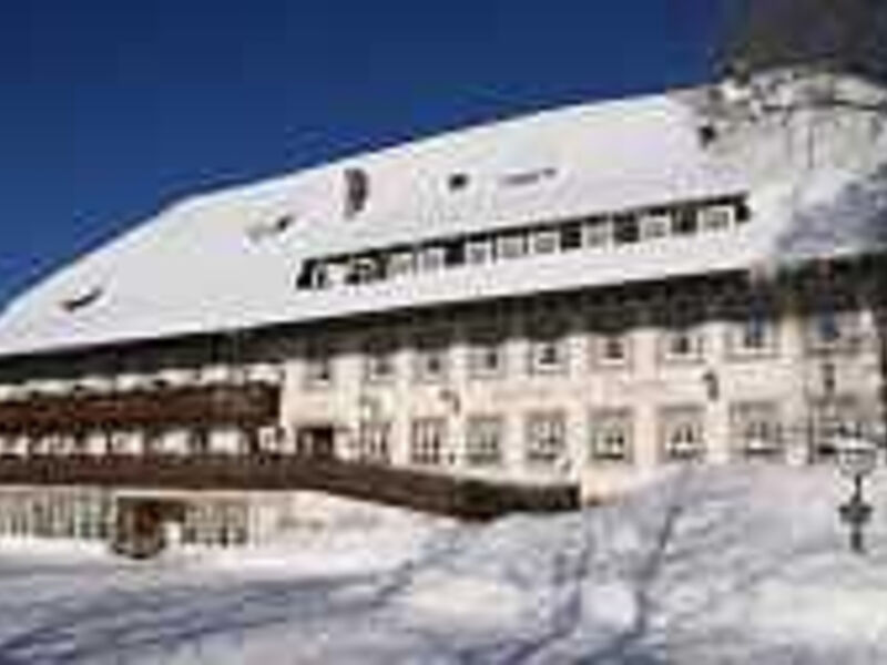 Hotel Schwarzwaldgasthof Zur Traube