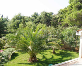 Vila Nadalina