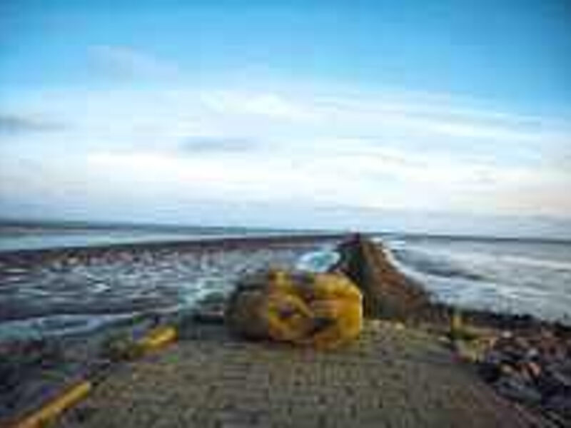 Hotel Nordseehotel Freese