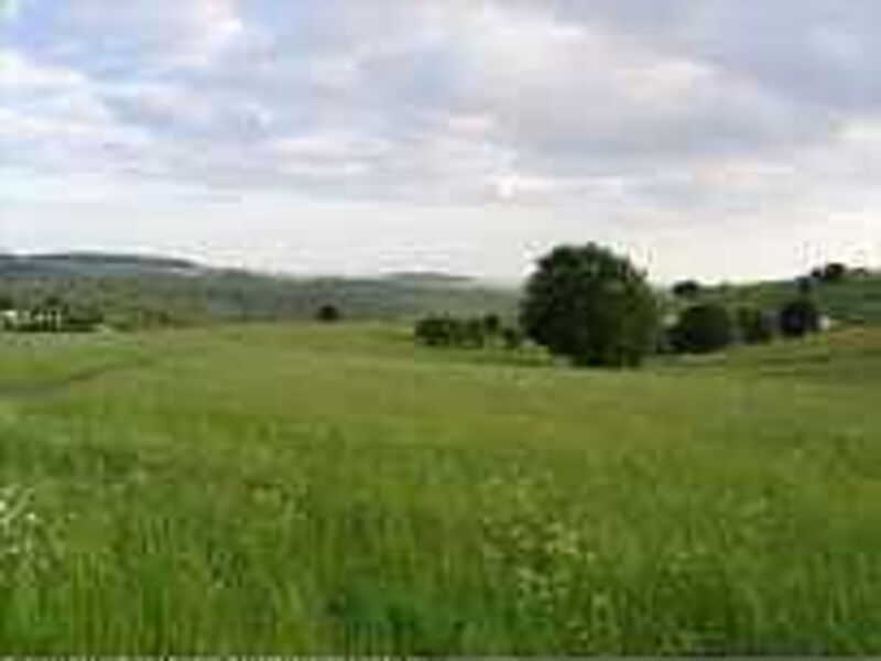 Werrapark Resort Hotel Heubacher Höhe