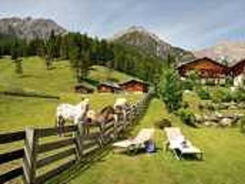 1. Almwellness Hotel Tuffbad