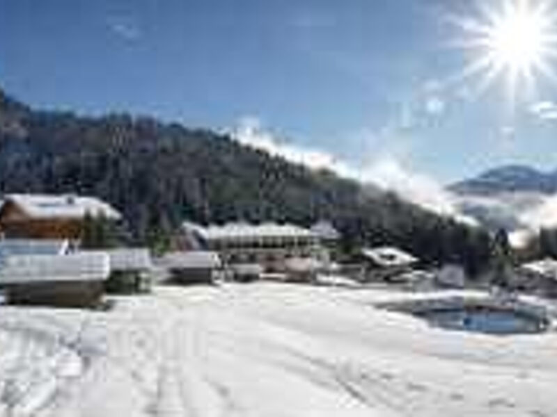 1. Almwellness Hotel Tuffbad