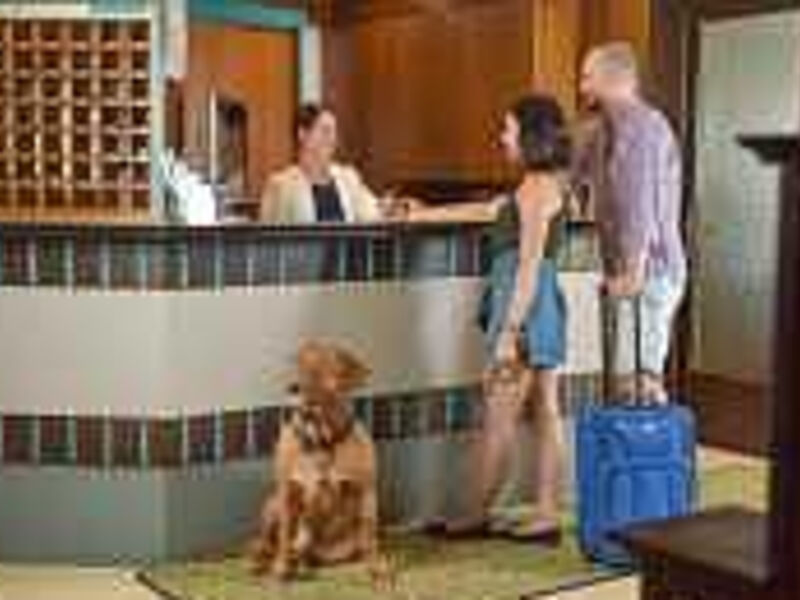 Hotel Bellevue