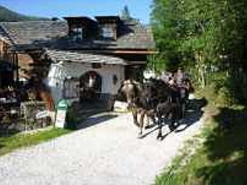 Hotel Trattlerhof