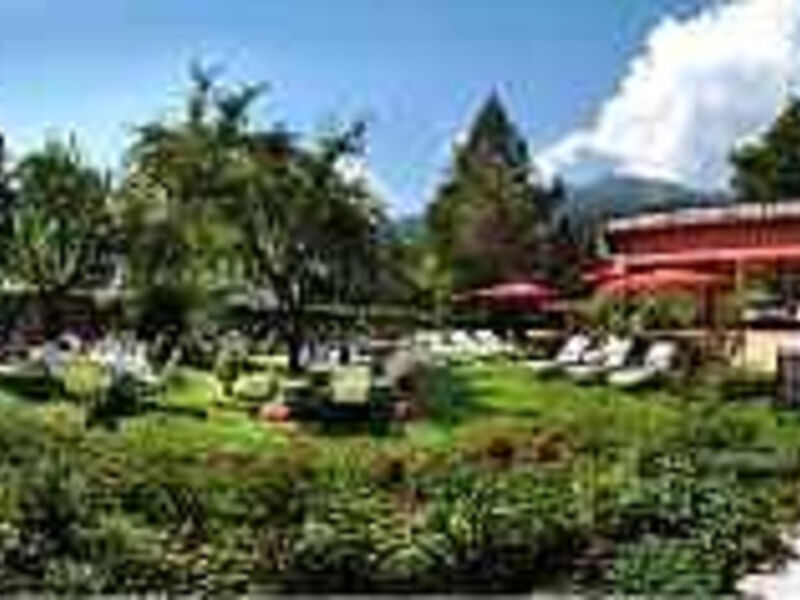 Hotel Alpina