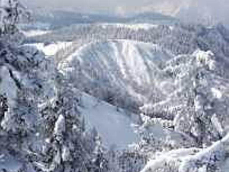 Aktivhotel Weißer Hirsch
