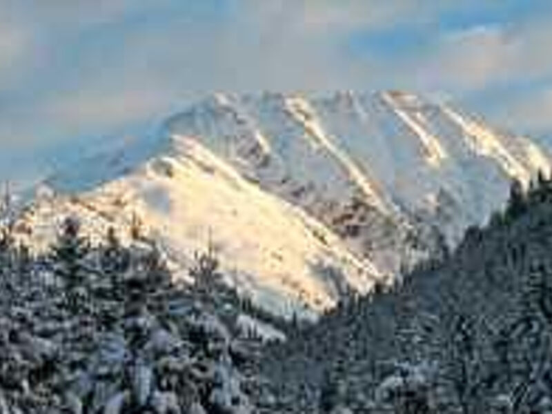 Alpen Glück Hotel Kirchberger Hof