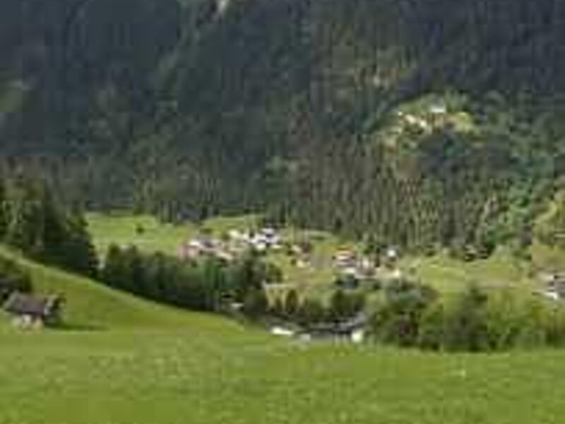 Hotel Alpenfriede