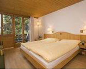 Hotel Alpina