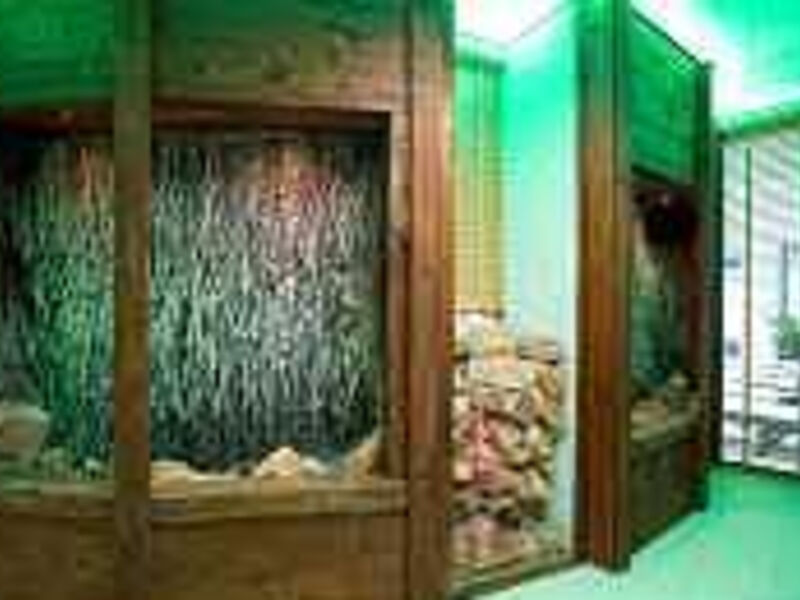 Hotel Grand Laola Spa