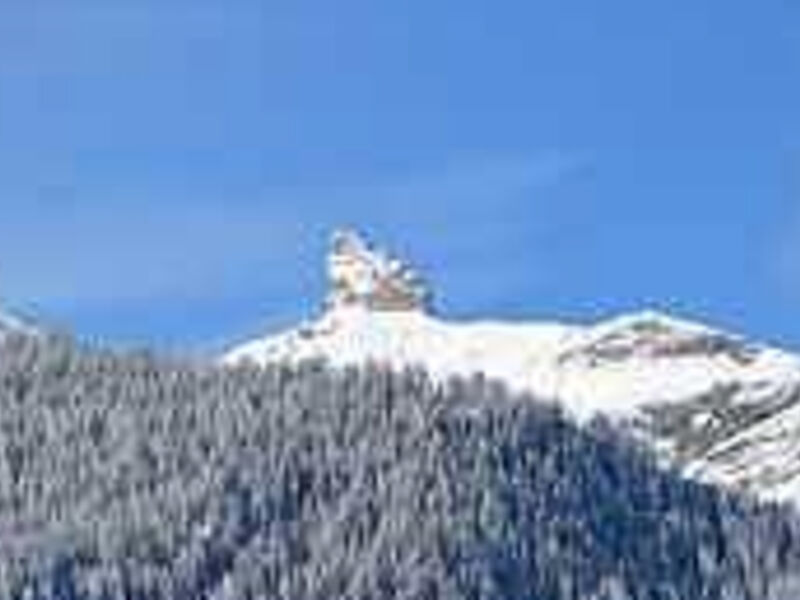 Hotel Belvedere