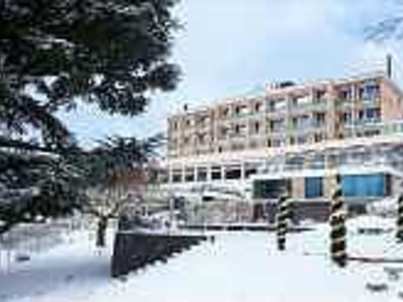 Hotel Eden  Superior
