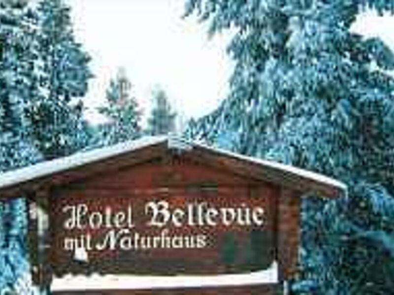 Hotel Bellevue