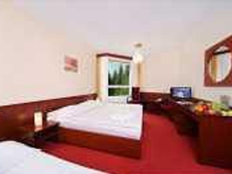 Wellness Hotel Svornost