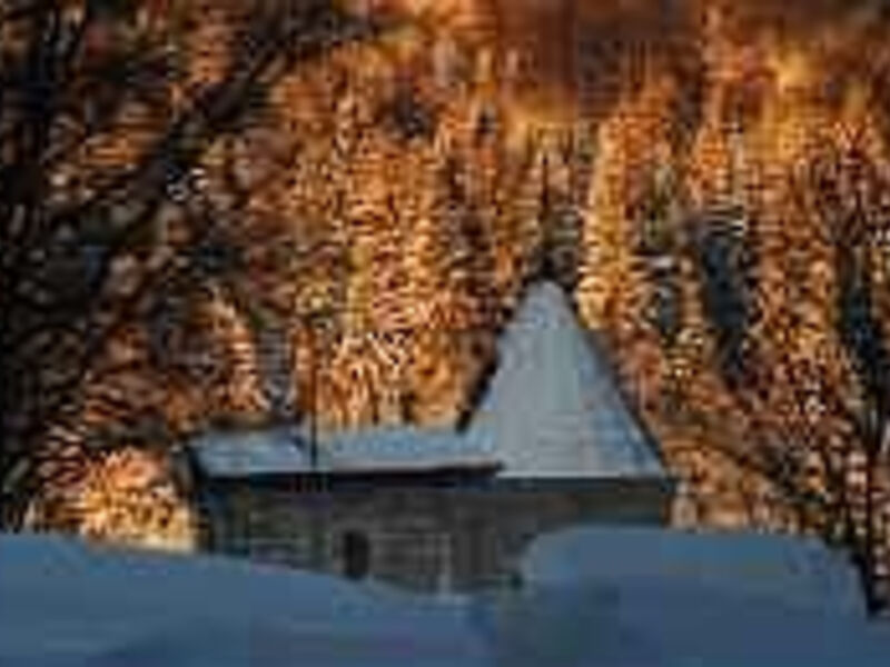montanie resort