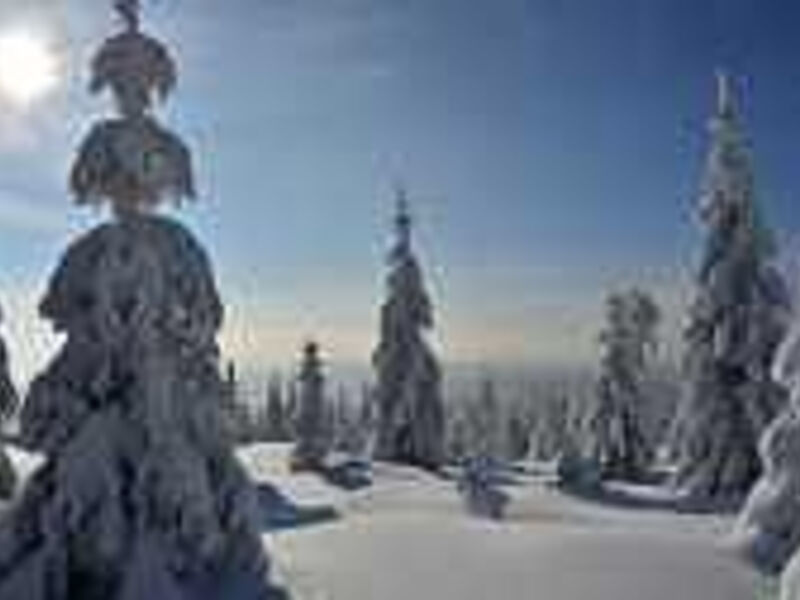 montanie resort