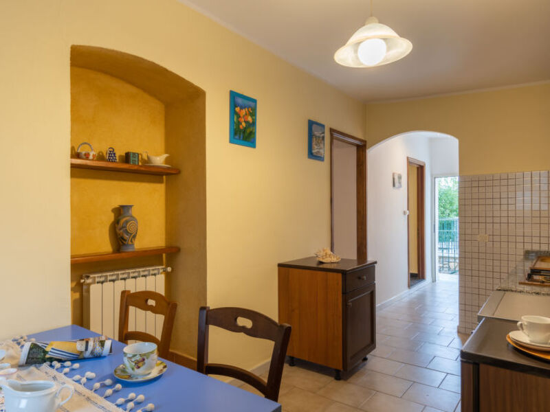 Mimosa - Agriturismo San Giuseppe