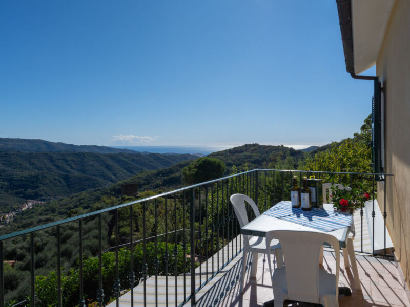 Mimosa - Agriturismo San Giuseppe