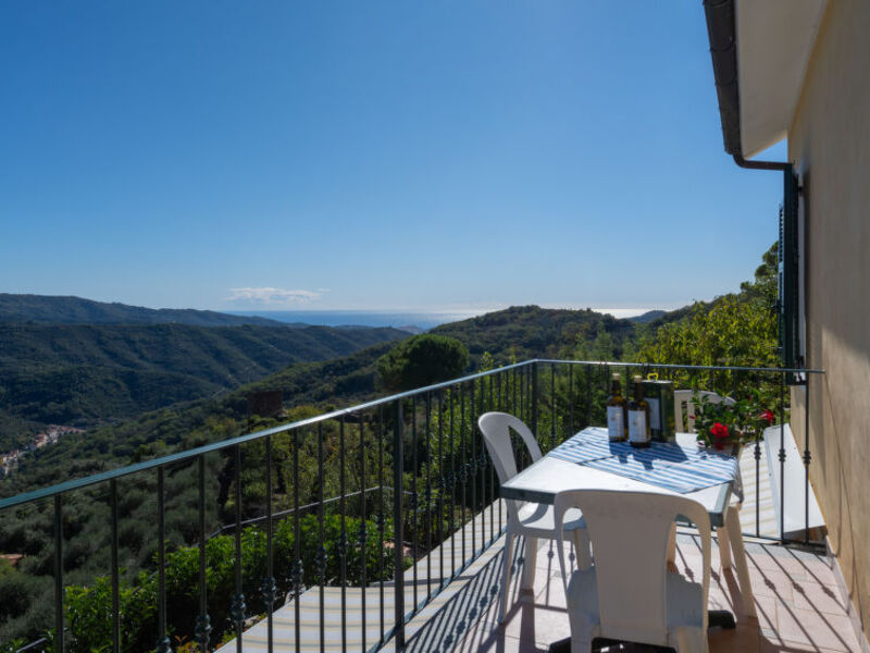 Mimosa - Agriturismo San Giuseppe