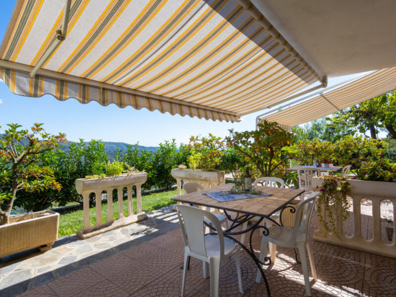 Mimosa - Agriturismo San Giuseppe