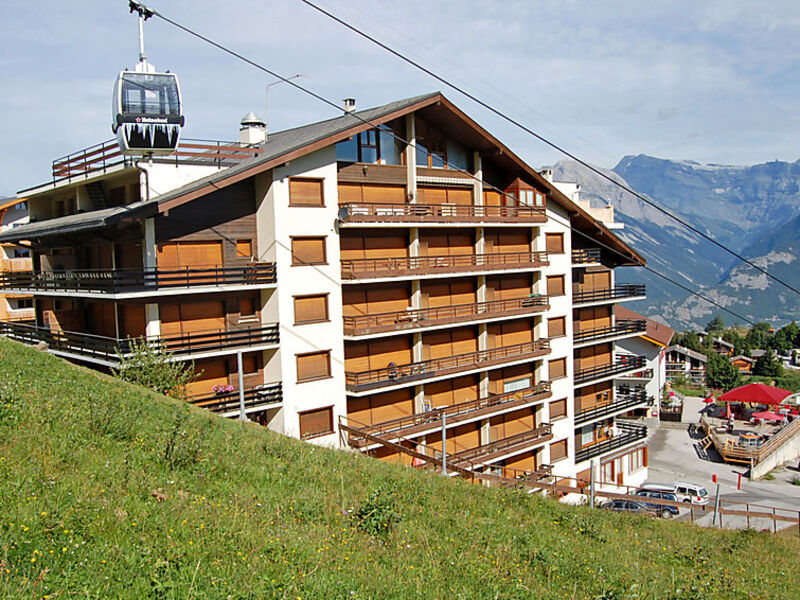 Perce-Neige 29