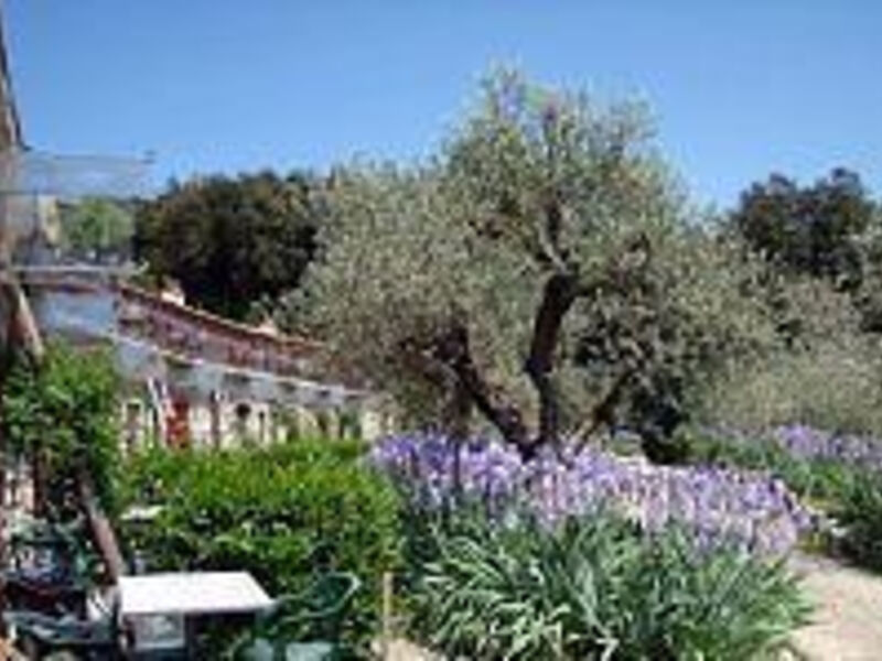 Fattoria Castiglionchio