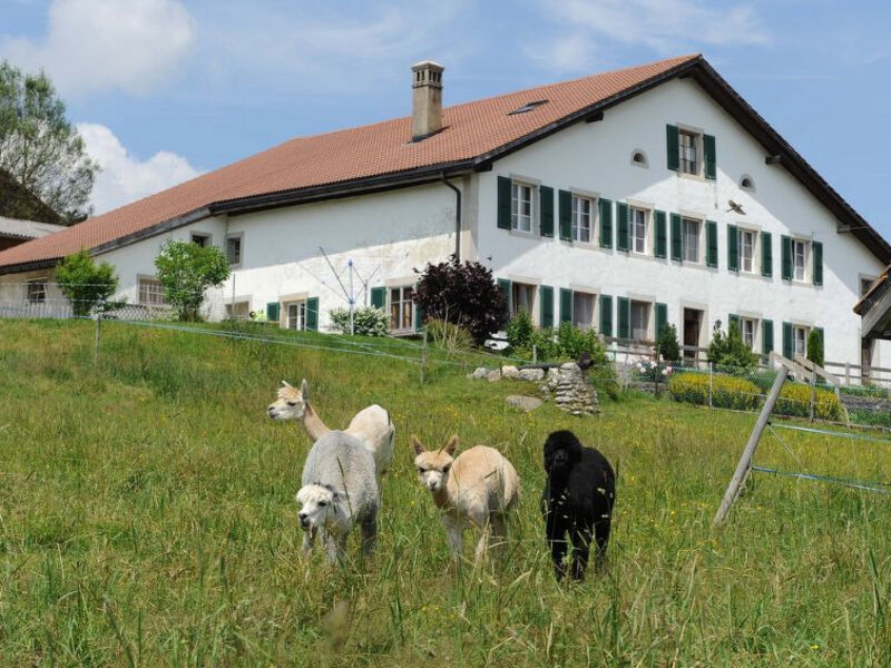 Appartements - Ferme O'Clés