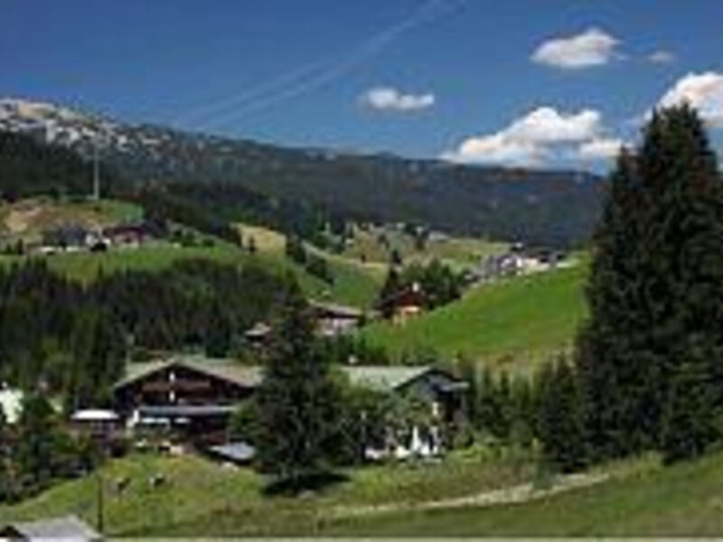 Hotel Alpenhof Wildental