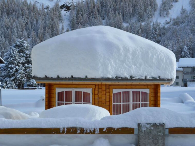 Haus Alpenstern, Wohnung Distel