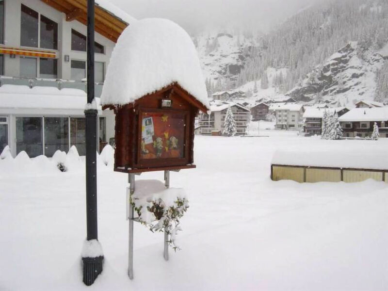 Haus Alpenstern, Wohnung Distel