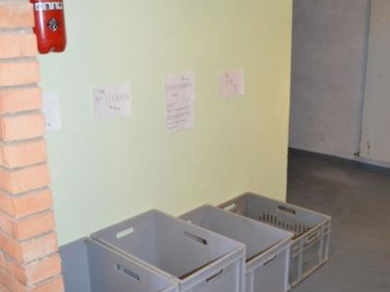 Haus Alpenstern, Wohnung Distel