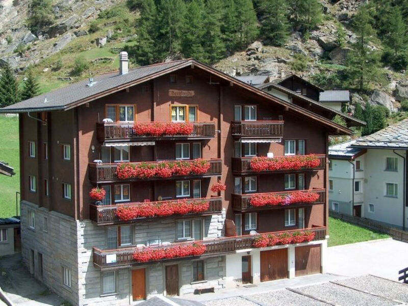 Haus Alpenstern, Wohnung Distel