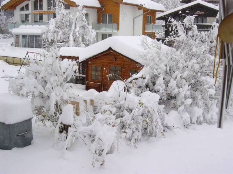 Haus Alpenstern, Wohnung Distel