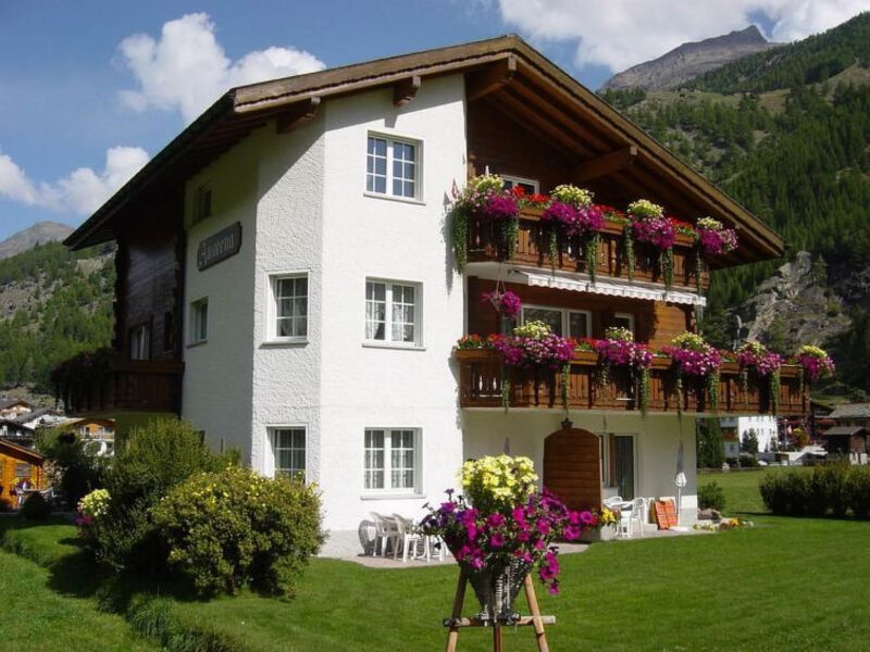 Haus Alpenstern, Wohnung Distel