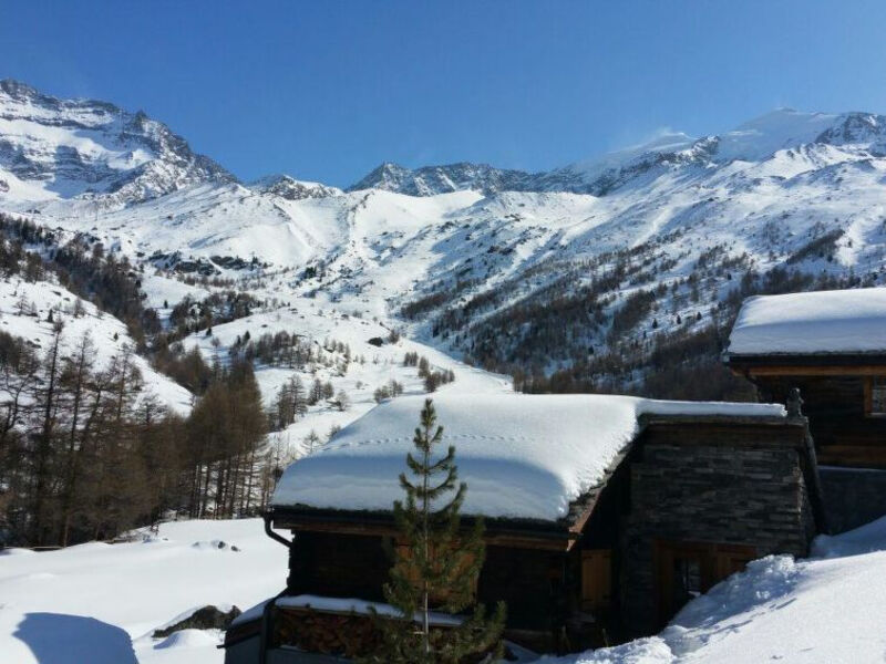 Haus Alpenstern, Wohnung Distel