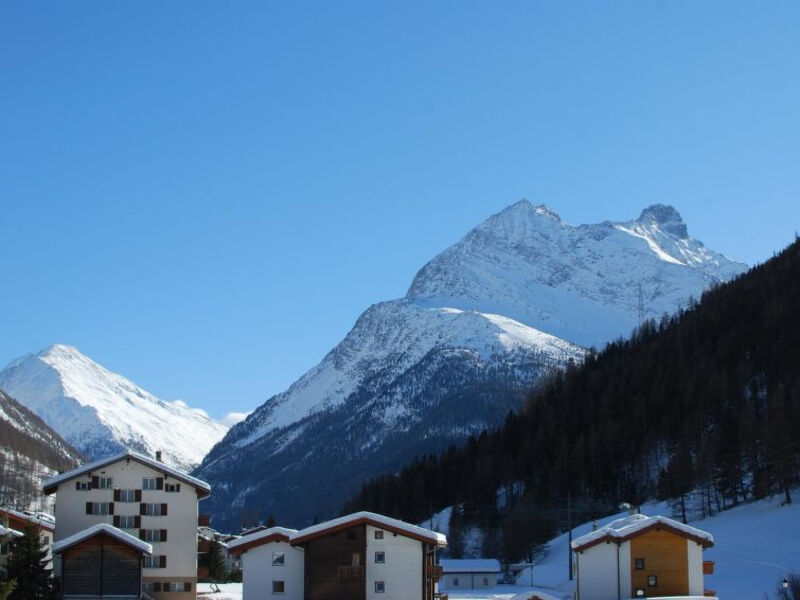Haus Alpenstern, Wohnung Distel