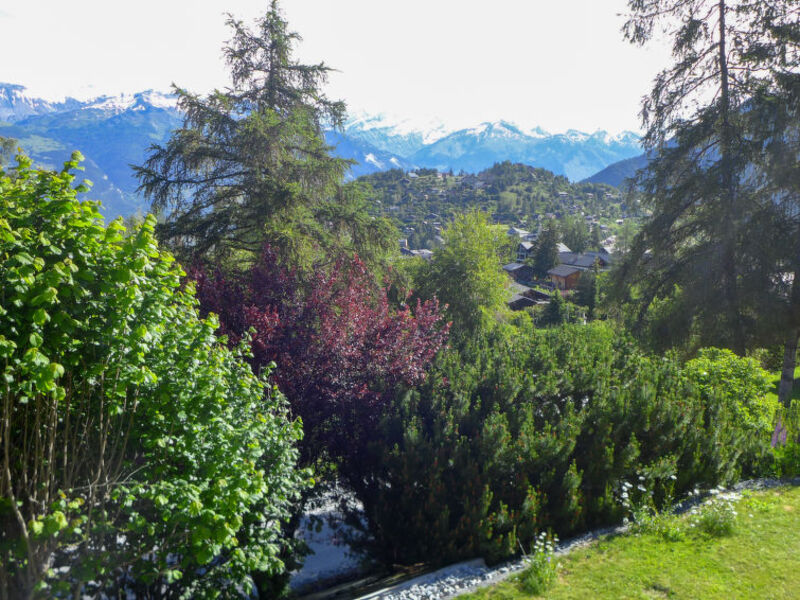 Chalet Les Anémones