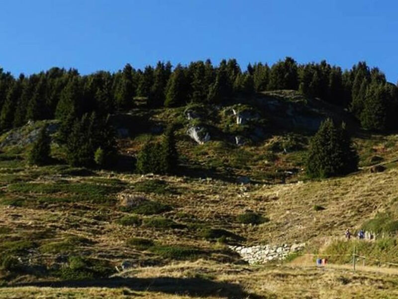 Arve Nr. 5, 2. Stock West