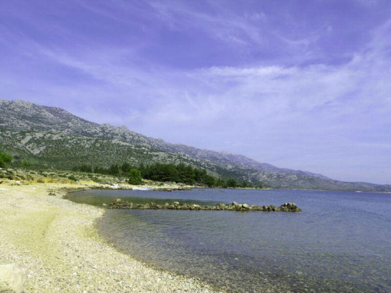 Mare