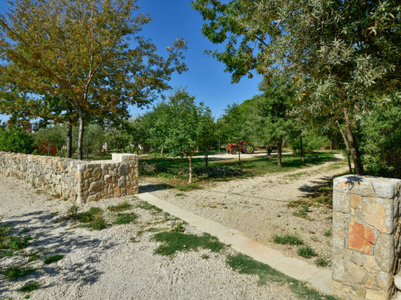 Ljiljana